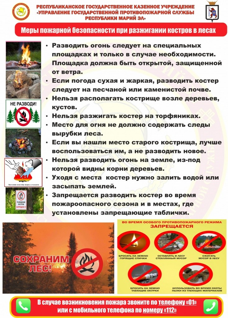 леса.jpg