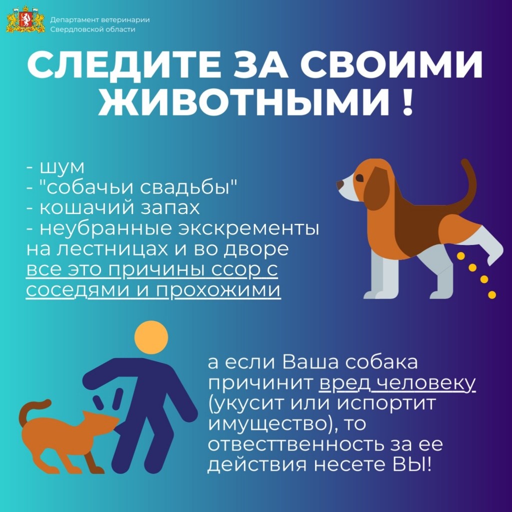 загруженное.jpg