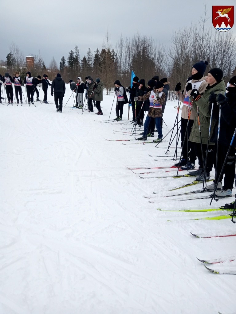 IMG20260220132101.jpg