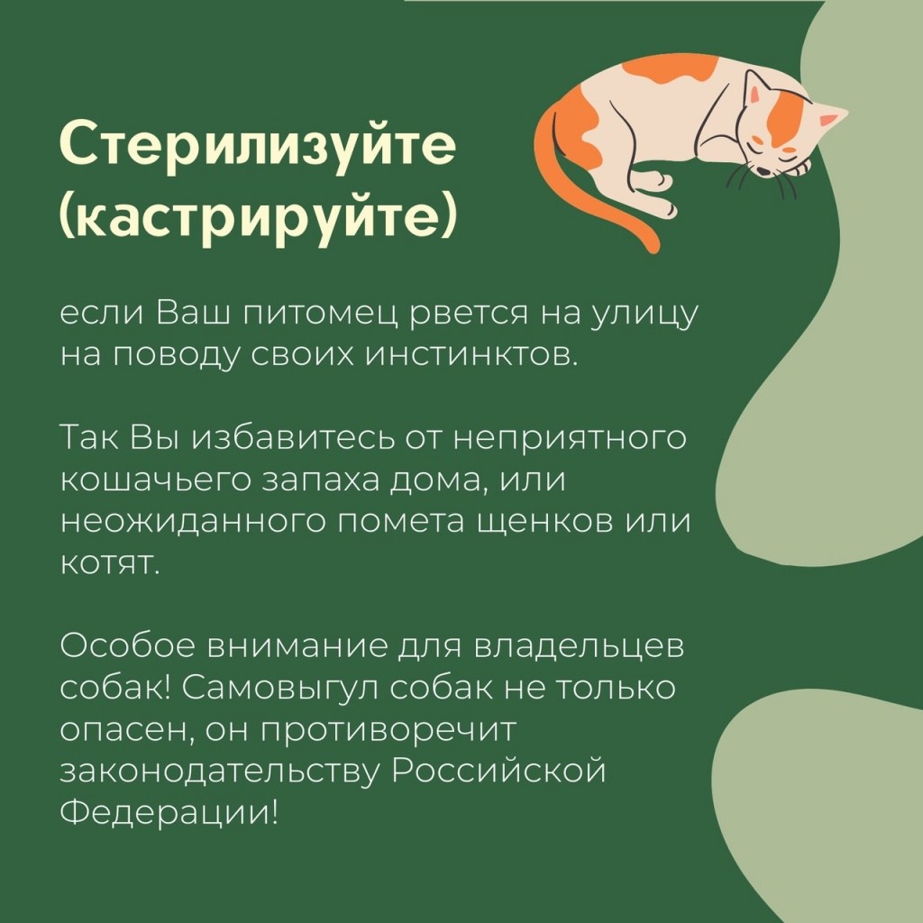 -xAKbjRhTEA.jpg