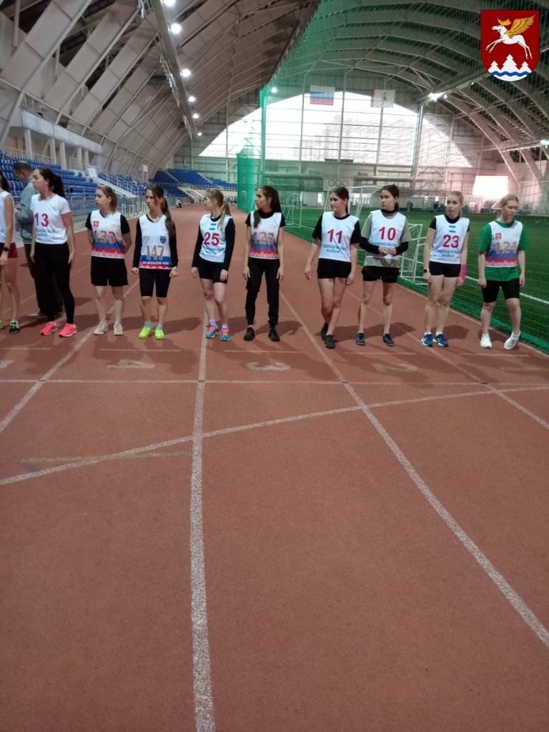 e221c96b-928e-432b-beed-cdcc3ccc5e1c.jfif.jpg