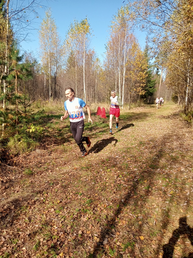 IMG20260926113300.jpg