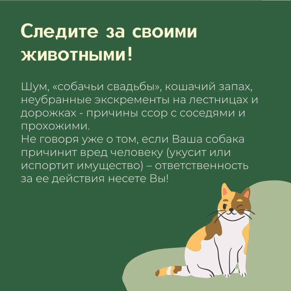 czuqupu54Uw.jpg